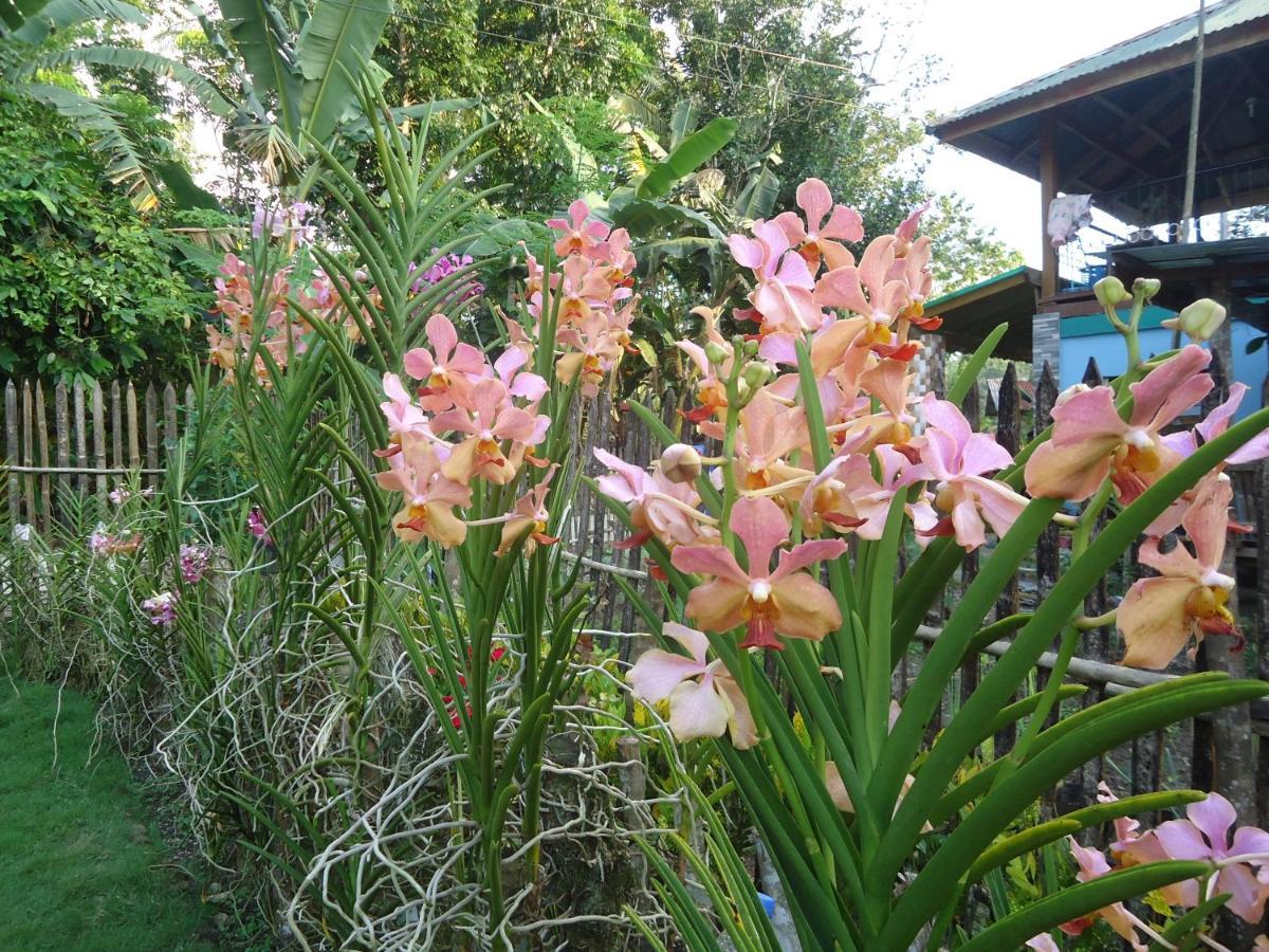 Lhoyjean Garden Hostel Batuan Eksteriør billede