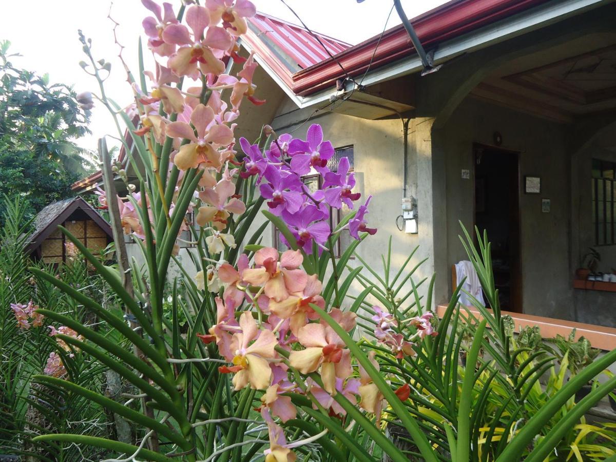 Lhoyjean Garden Hostel Batuan Eksteriør billede